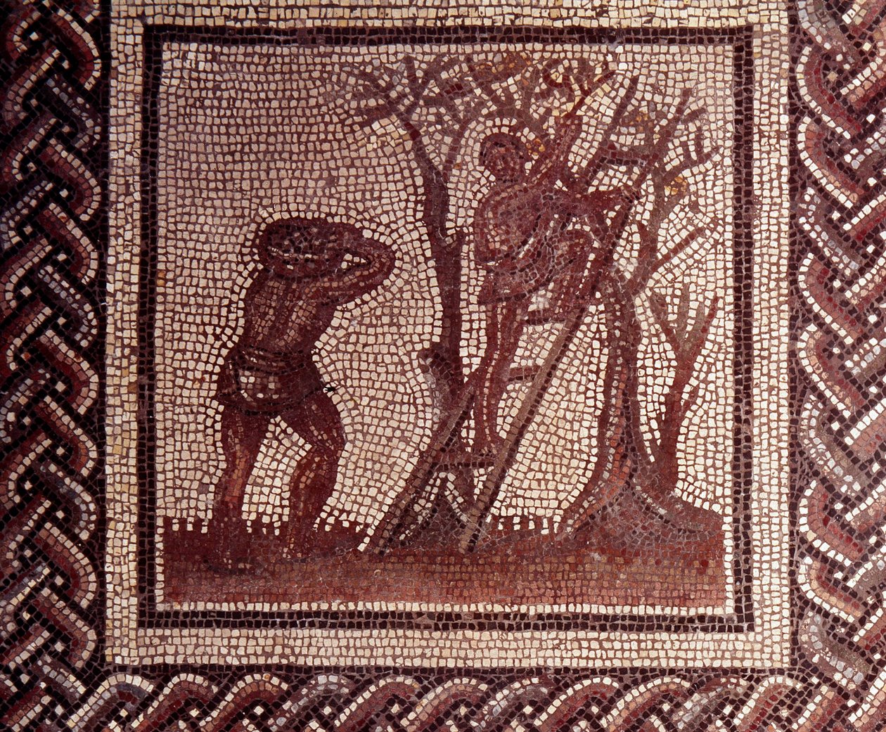 Arte Galo-Romano: pavimento de mosaico que representa un calendario rústico. Escena de recolección de aceitunas. Finales del siglo II, principios del siglo III d.C. De Saint-Romain-en-Gal (Rhone). Saint Germain en Laye, Museo Nacional de Arqueología de Gallo Roman