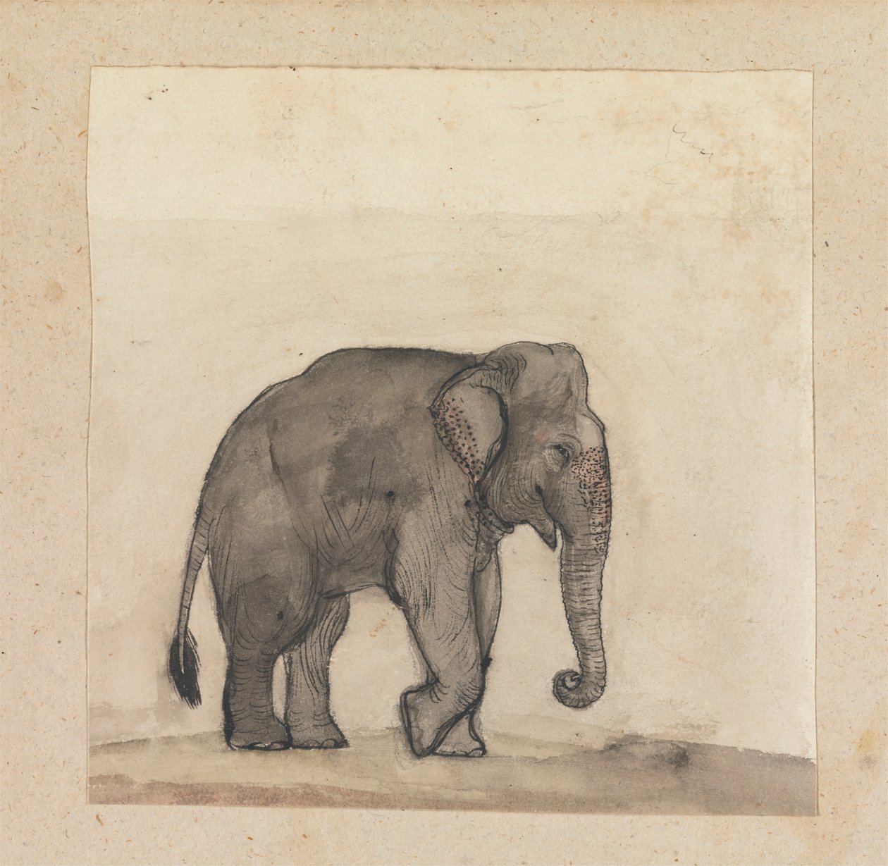 Elefante de Gangaram Chintaman Tambat