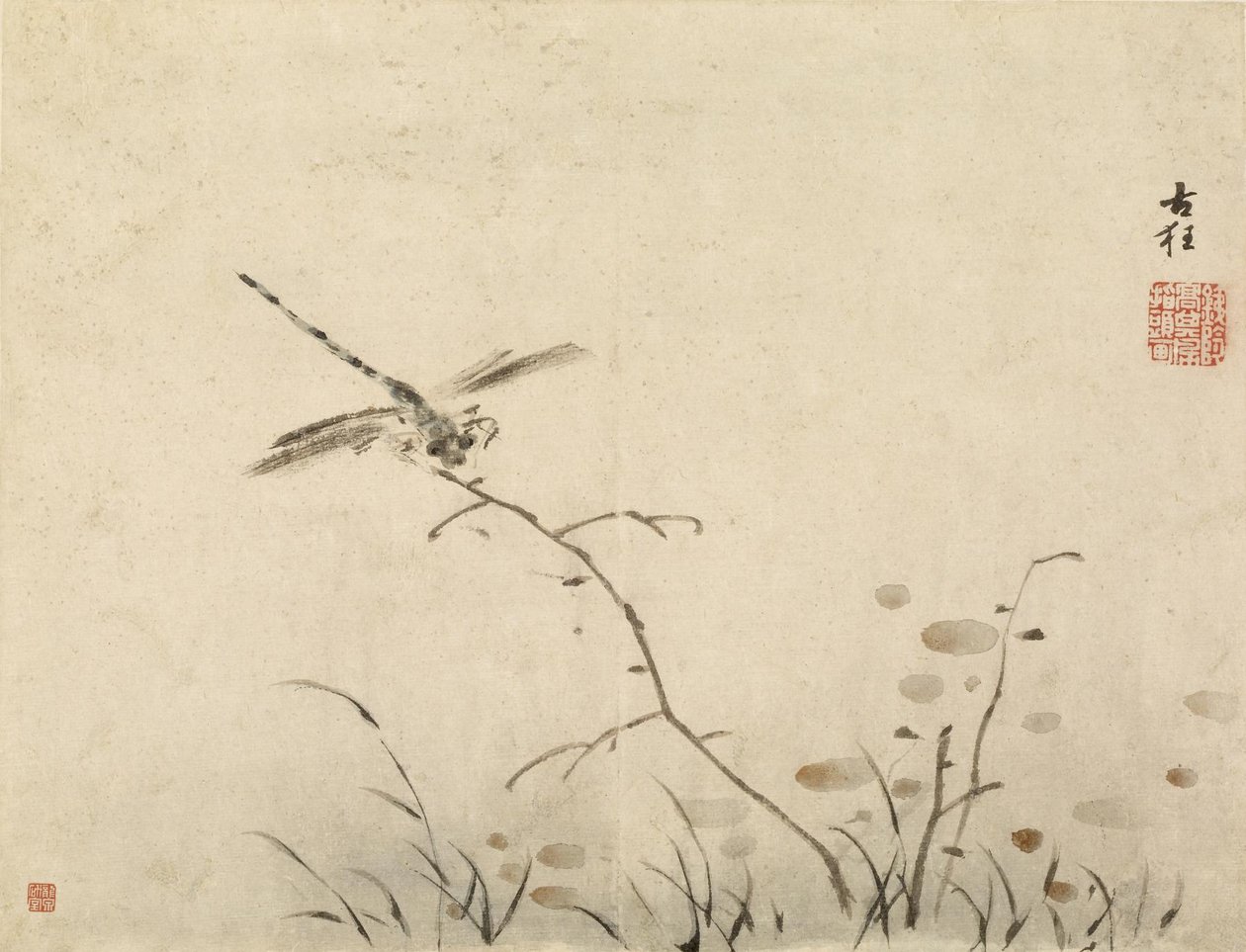 Libélula de Gao Qipei
