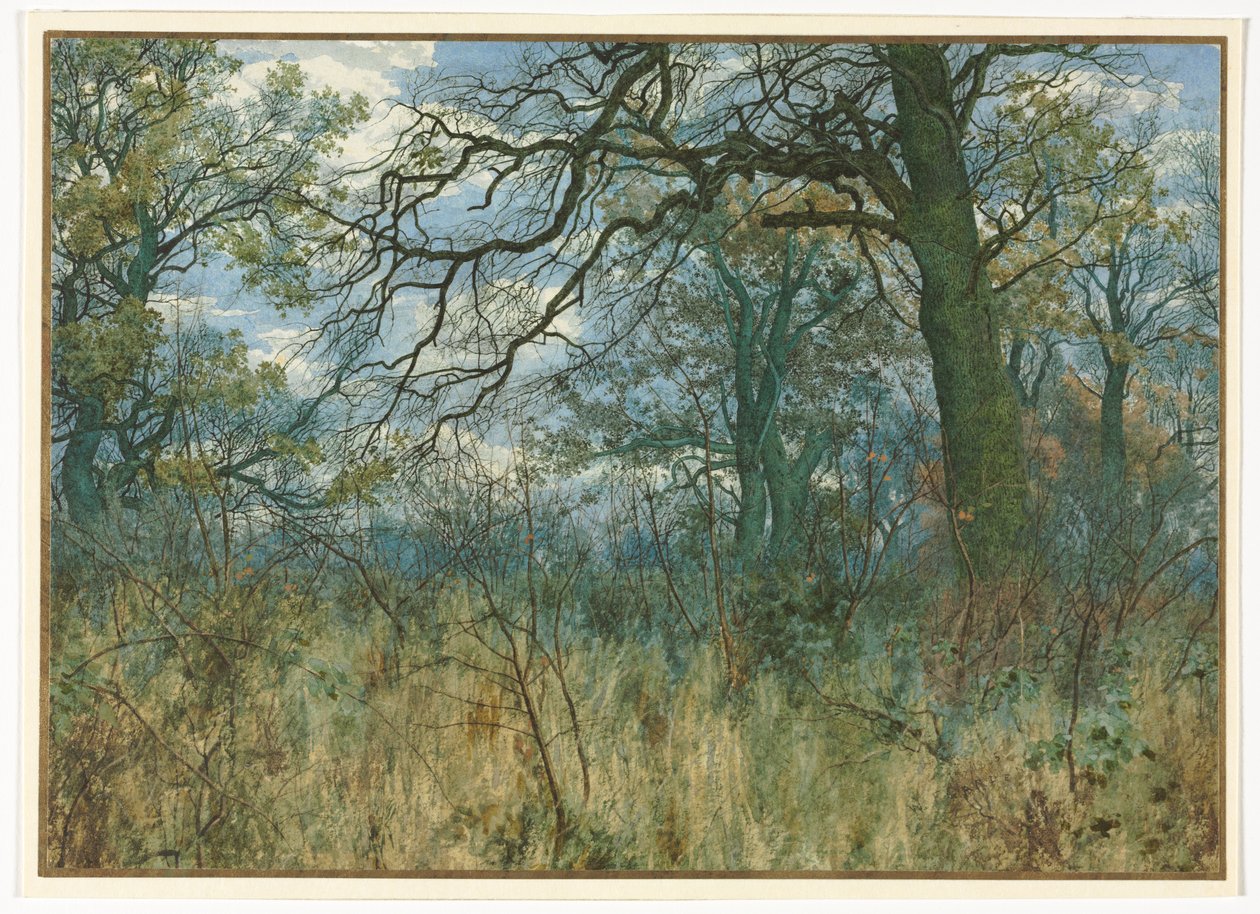 Árboles y Maleza, 1885 de Garden William Fraser