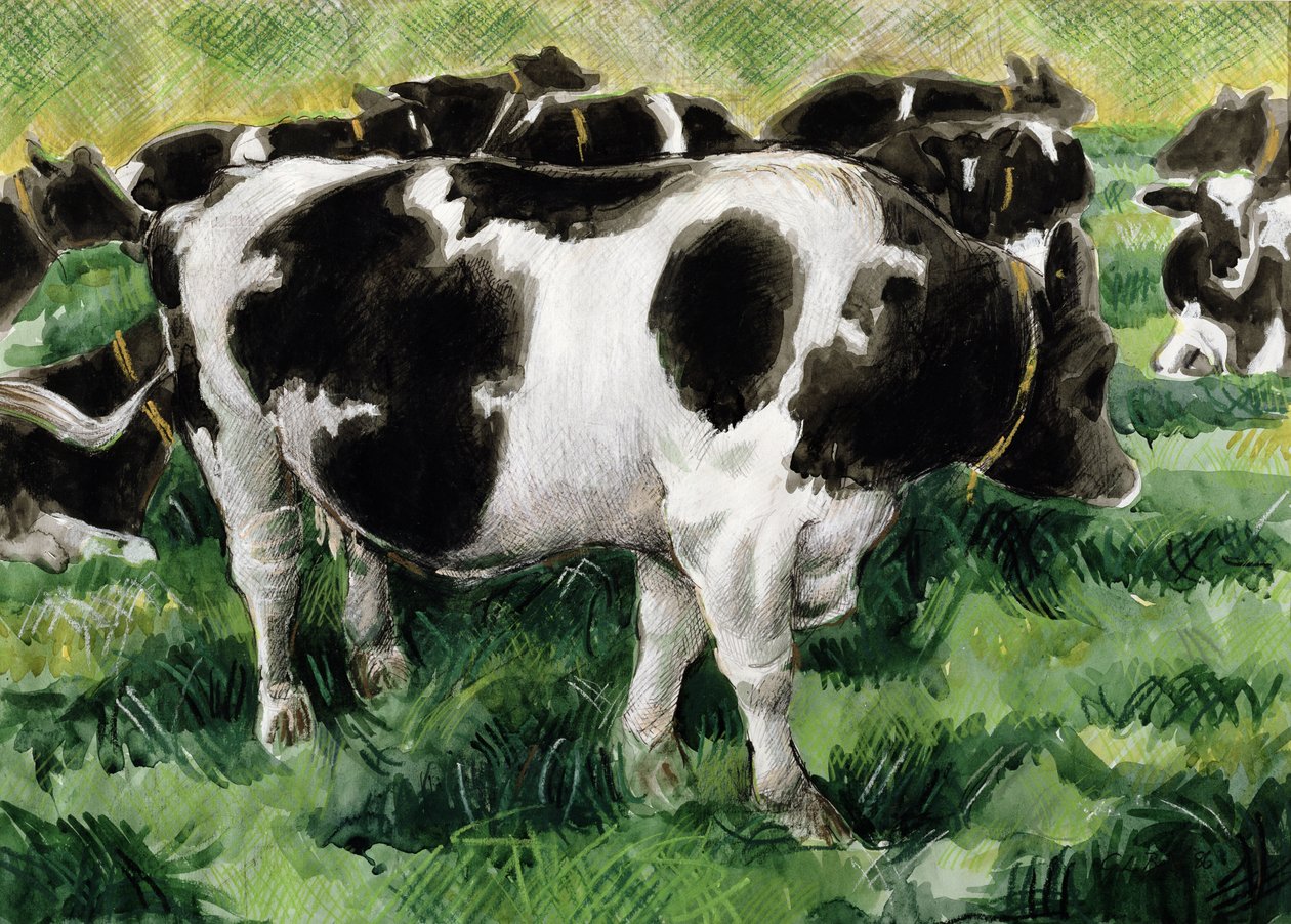 Vacas frisias de Gareth Lloyd Ball