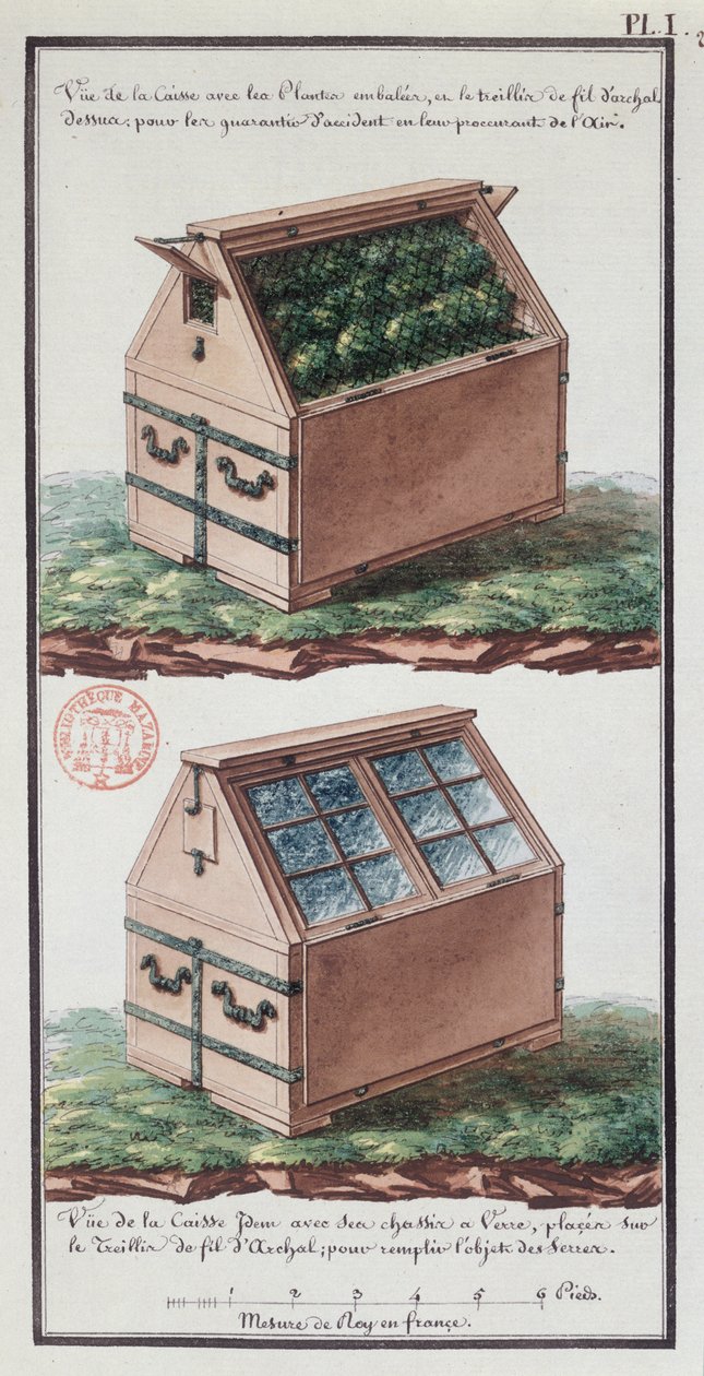 Ilustración de un baúl para transportar plantas, del cuaderno del artista realizado durante la expedición de Jean-Francois Gallup de la Perouse (1741-88) de Gaspard Duche de Vancy