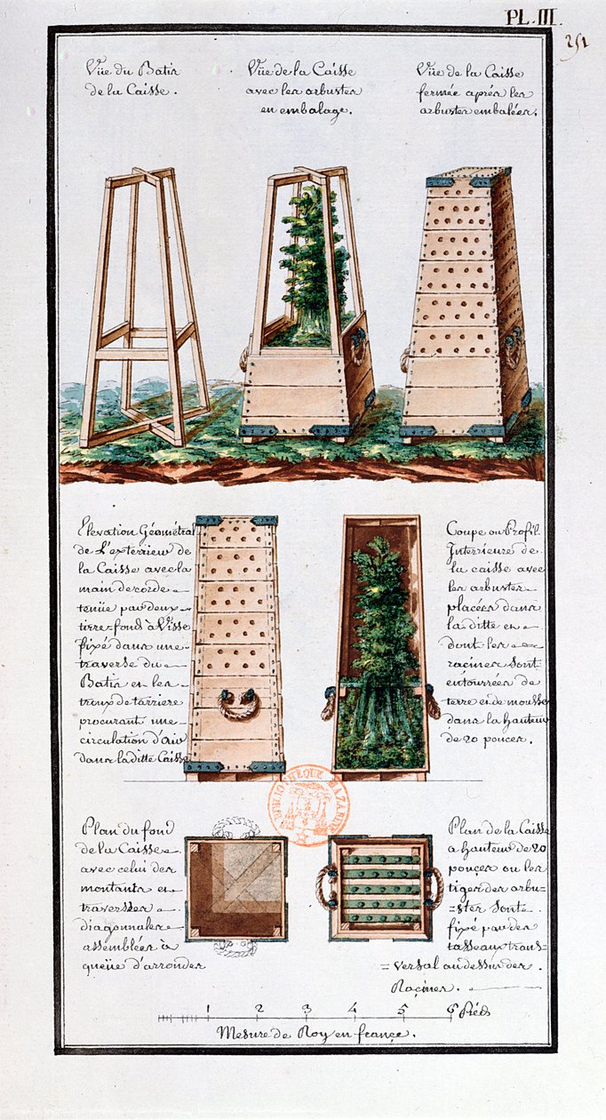 Ilustración de un gabinete especial para transportar arbustos y matorrales, del cuaderno del artista realizado durante las expediciones de Jean-Francois Gallup de la Perouse (1741-88) de Gaspard Duche de Vancy