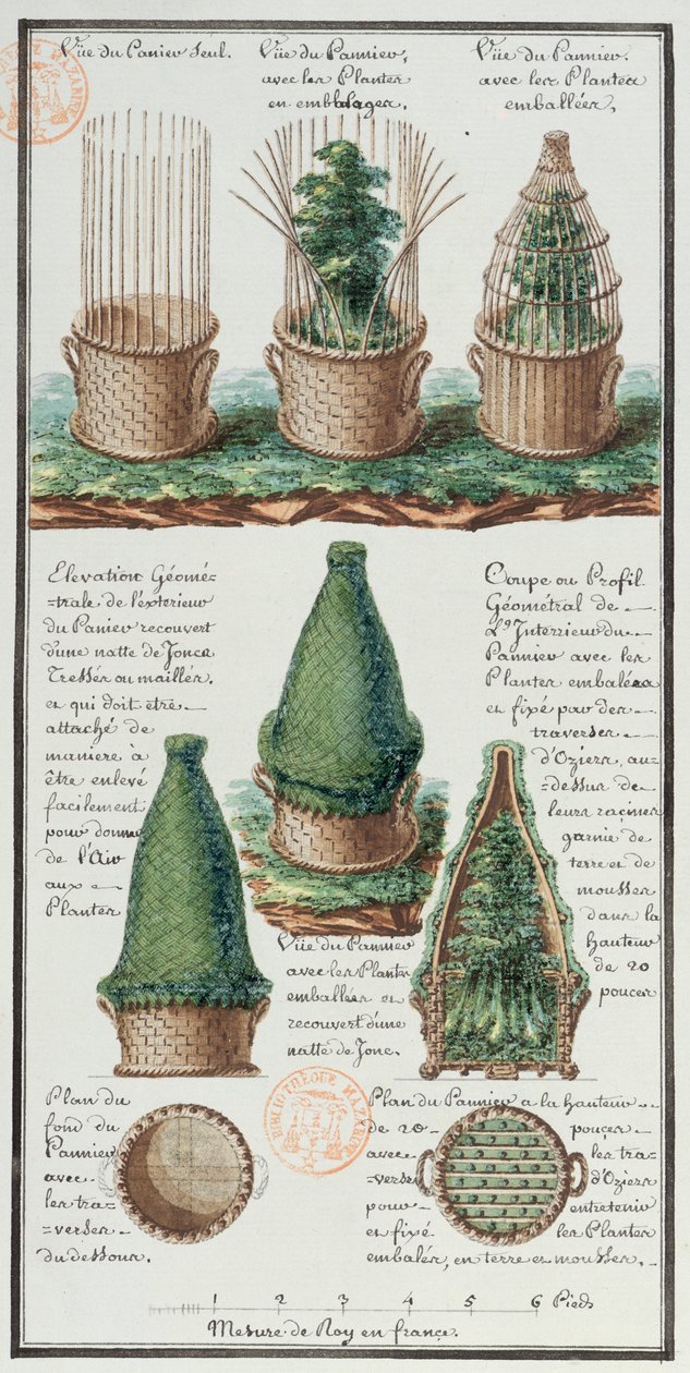 Ilustración de una cesta tejida para transportar plantas, del cuaderno del artista realizado durante las expediciones de Jean-Francois Gallup de la Perouse (1741-88) de Gaspard Duche de Vancy