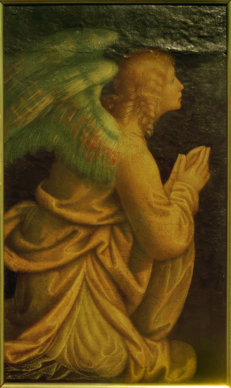 Ángel adorador | Gaudenzio Ferrari | Impresión de arte
