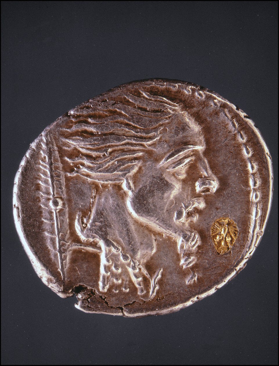 Presunto perfil de Vercingetorix en una pieza gaulesa. Museo del Medagliere. Milán de Gaulish Gaulish