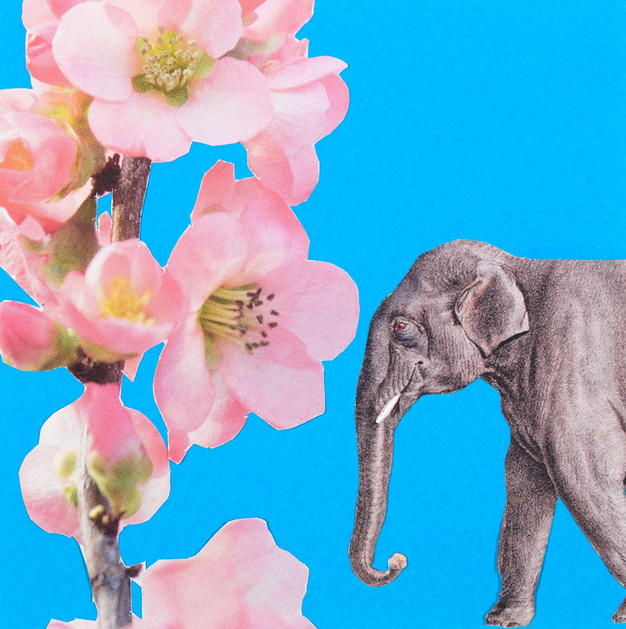 Flor de elefante, 2018, collage de Genevieve French