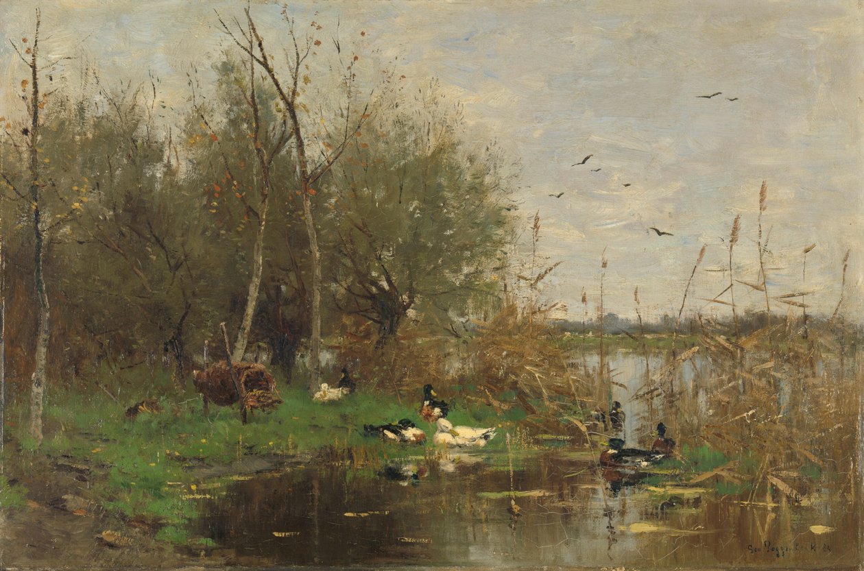 Patos junto a un refugio para patos en una zanja de Geo Poggenbeek