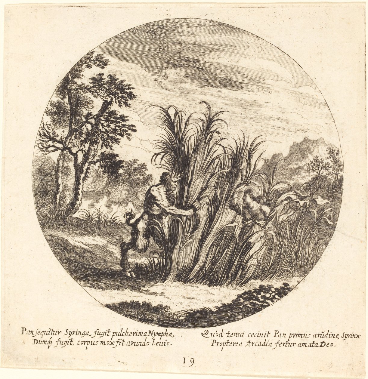 Pan y Siringa de Georg Andreas Wolfgang the Elder
