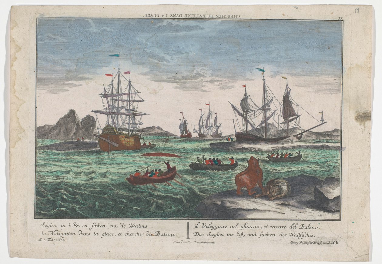 Vista de la búsqueda de las ballenas Das Seeglen ins Eiß, und Suchen des Wallfisches (título sobre objeto) Caza de ballenas en Groenlandia (título de la serie) de Georg Balthasar Probst