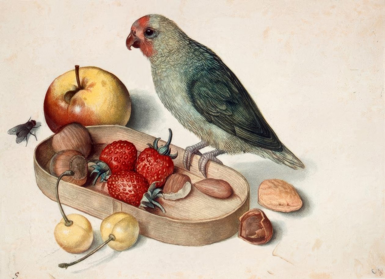 Naturaleza muerta con periquito de Georg Flegel