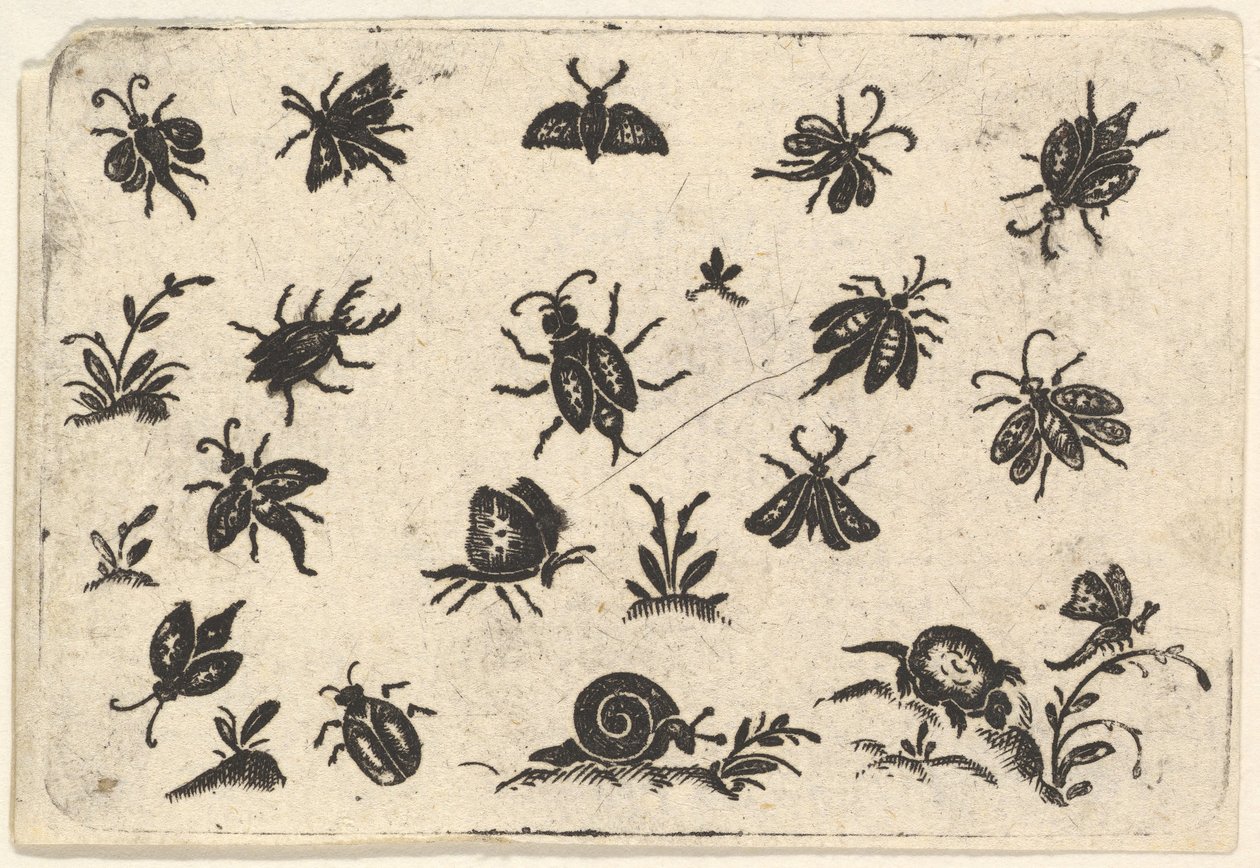 Pequeños motivos de insectos y plantas de Georg Herman