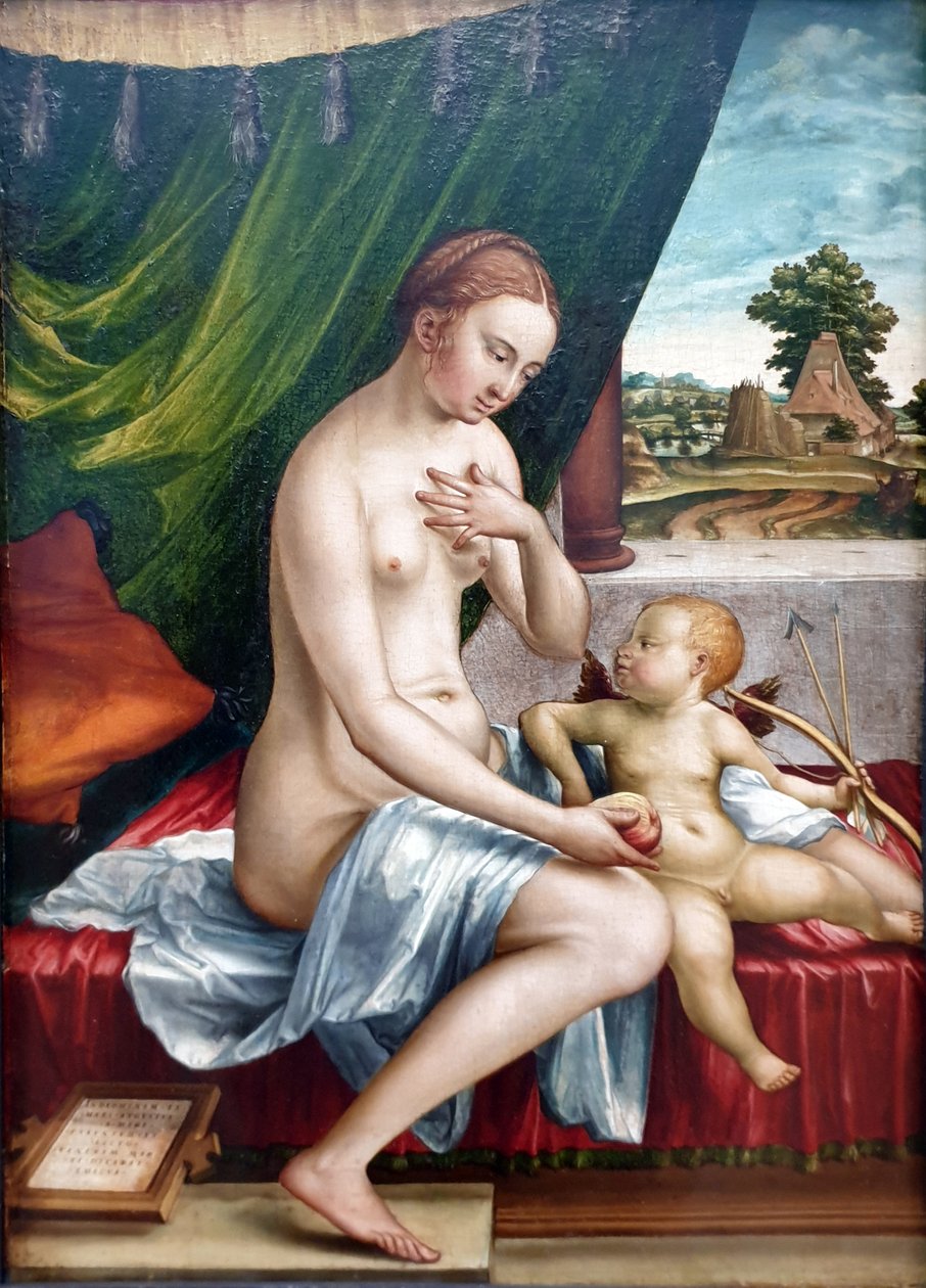 Alemán: Venus und Amor Venus and Cupid de Georg Pencz