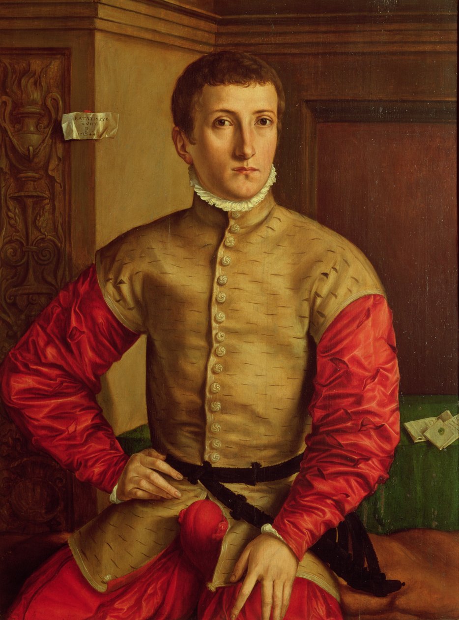 Retrato de un Joven, 1544 de Georg Pencz