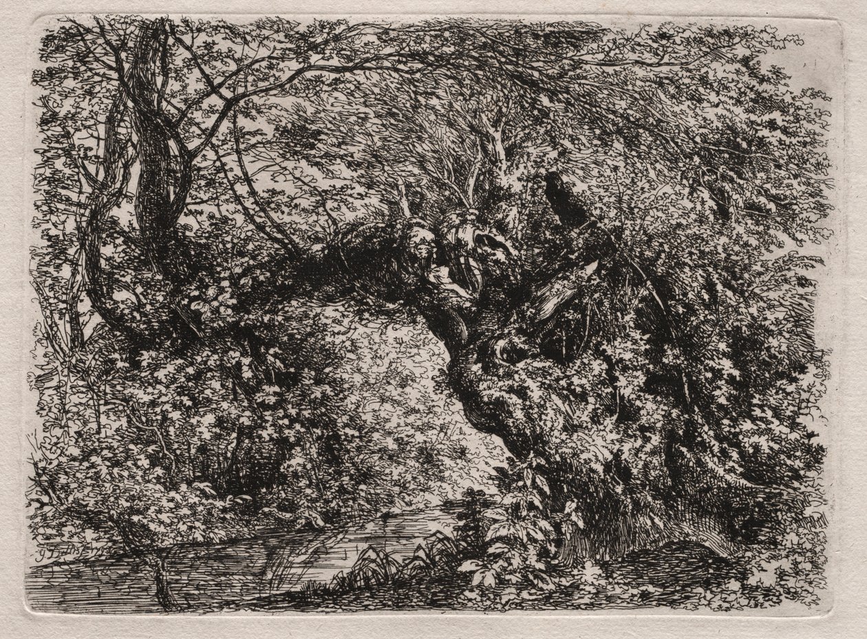 El viejo sauce en un arroyo, 1794 de Georg von Dillis