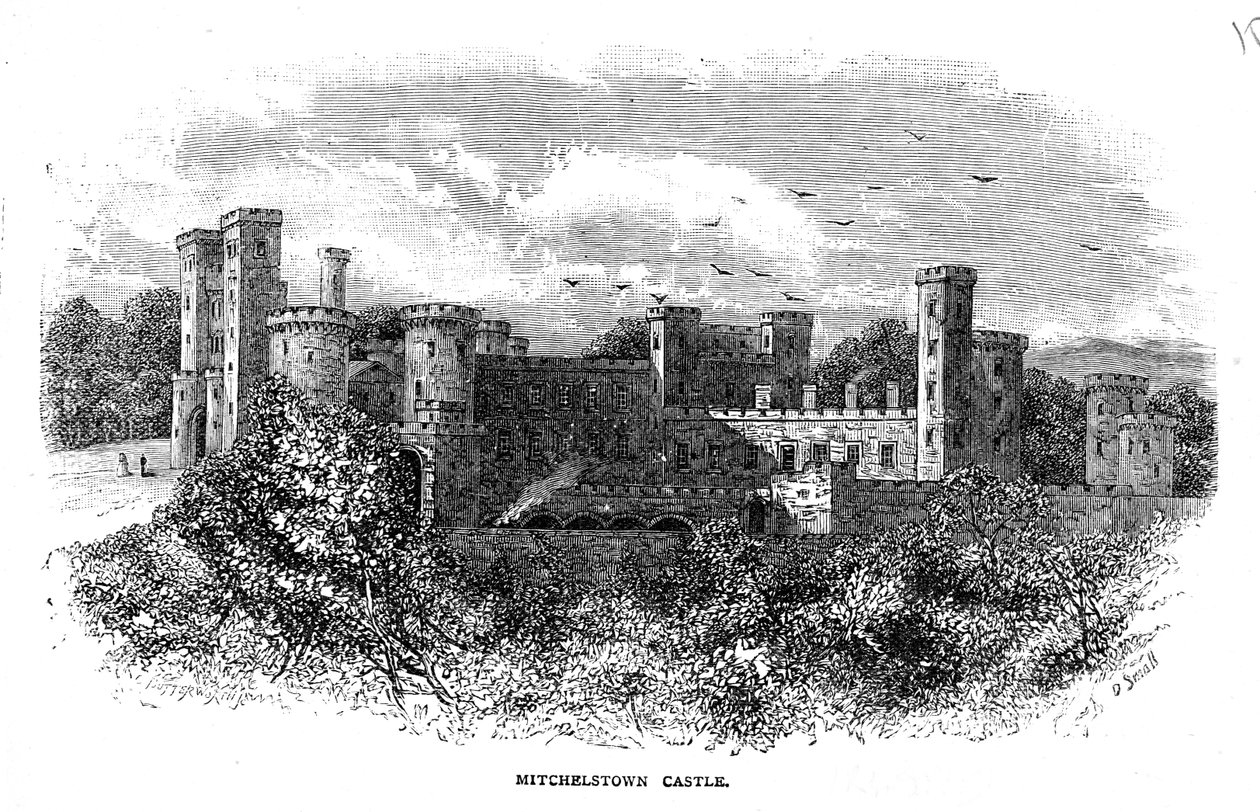 Castillo de Mitchelstown, grabado por D. Small de George Butterworth