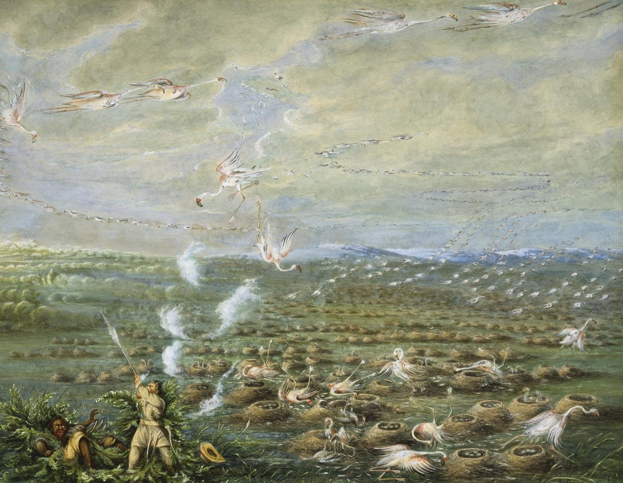 Caza de flamencos en Sudamérica de George Catlin