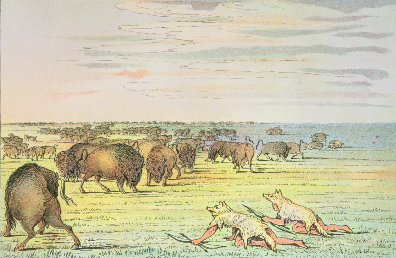 Acechando búfalos de George Catlin