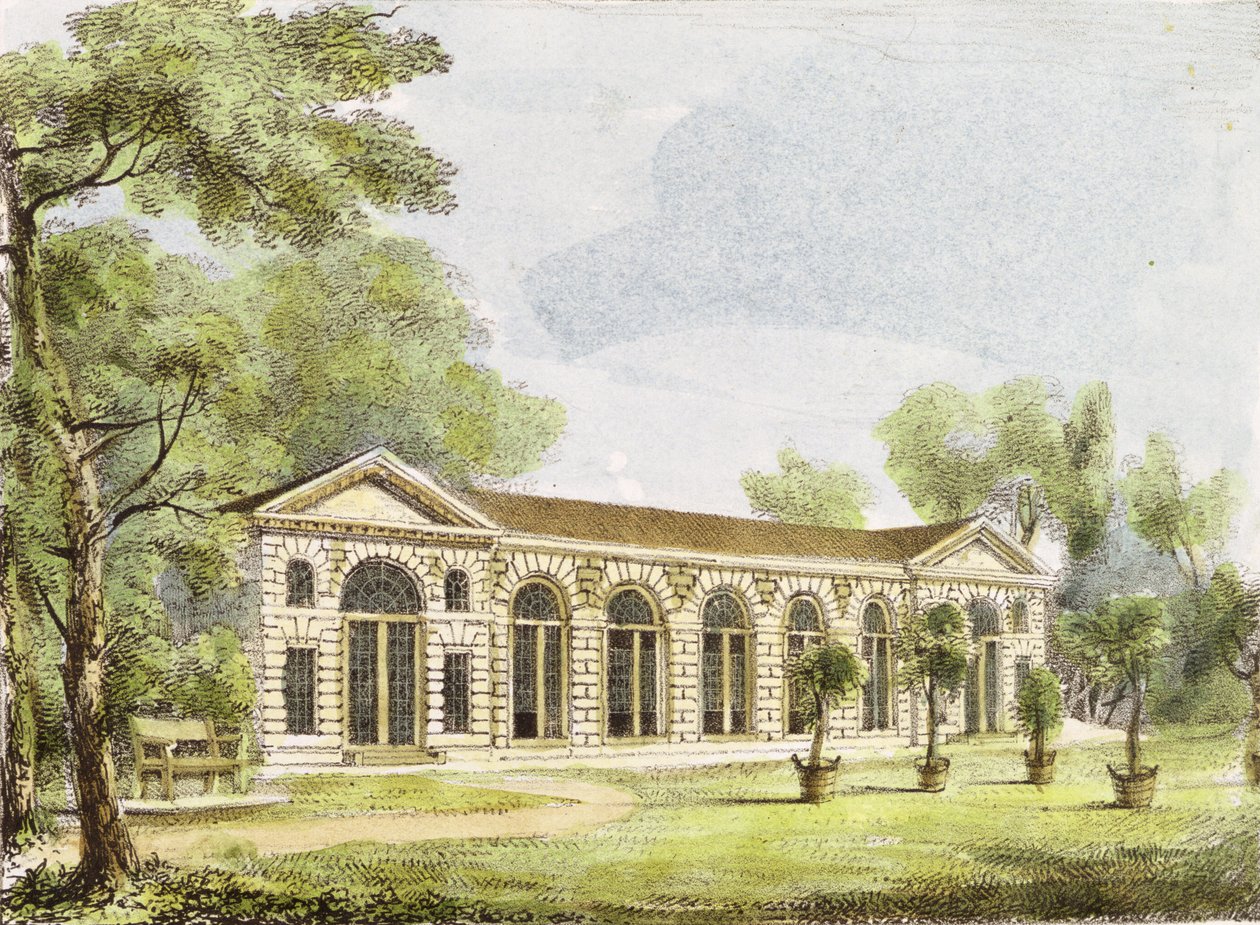 Naranjal, Jardines de Kew, lámina 11 de 