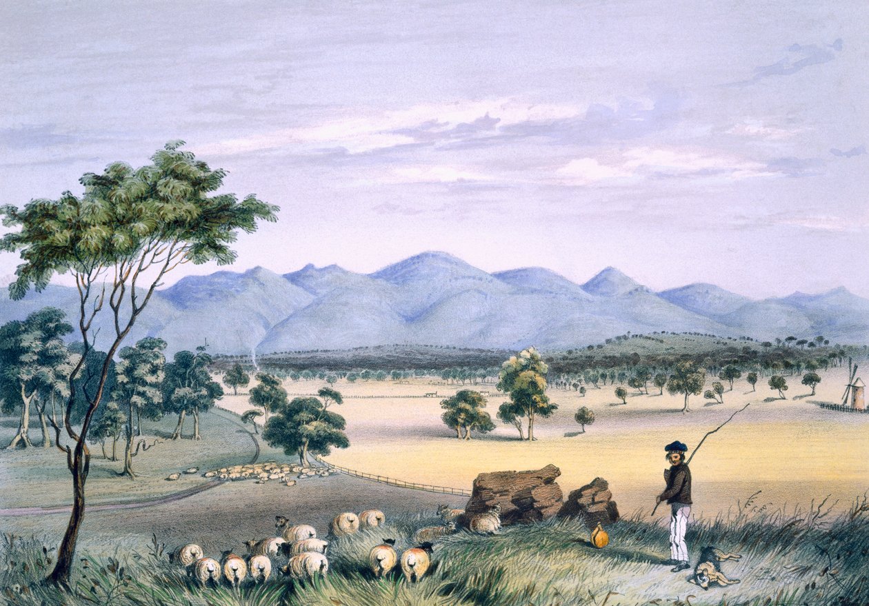 Valle de Lynedoch mirando hacia la Cordillera de Barossa, de 
