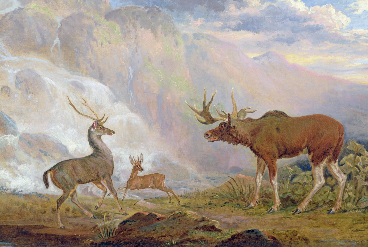 El alce del Conde de Orford de Noruega, antílope de África y ciervo de la isla del Príncipe de George Garrard