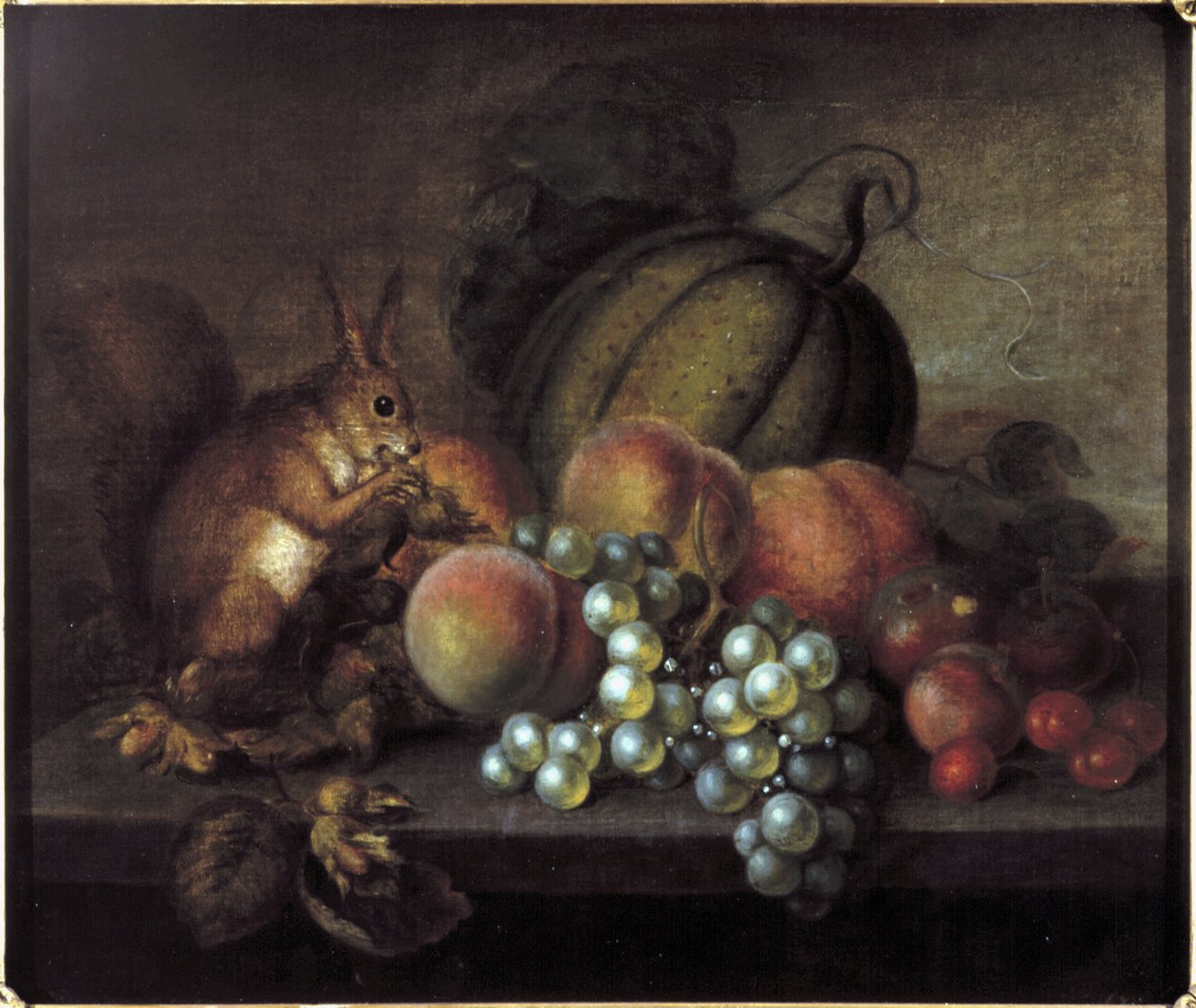 Estudio de frutas con ardilla de George Gray
