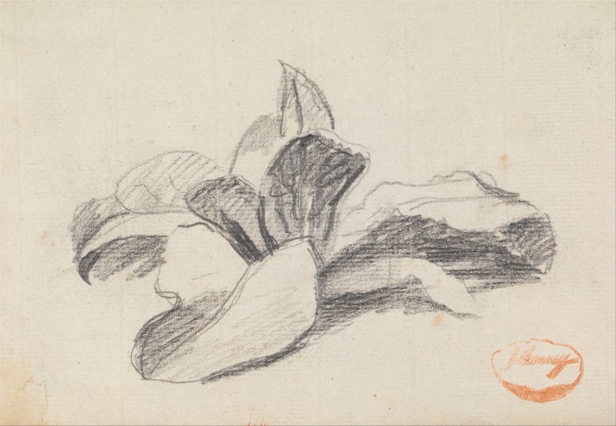 Estudio de hojas 2 de George Romney