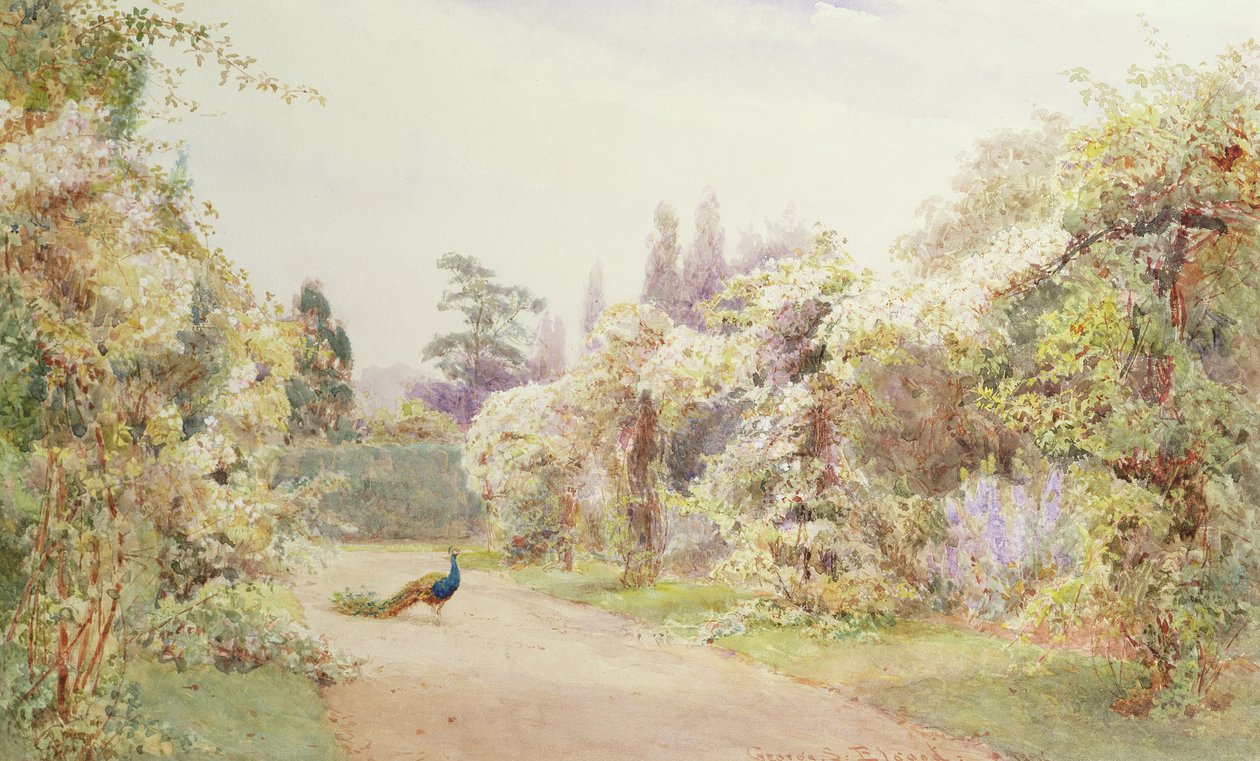 Jardín de verano con un pavo real de George Samuel Elgood