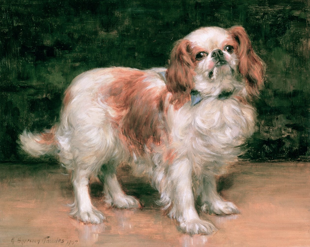 Spaniel King Charles, 1907 de George Sheridan Knowles