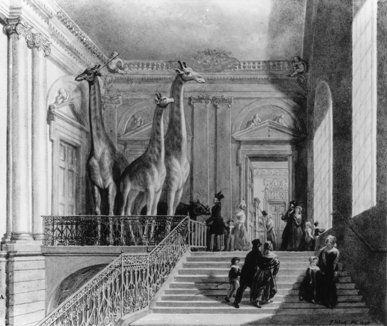 Jirafas en la escalera del Museo Británico, 1845 (pluma y tinta y acuarela sobre papel) de George Snr Scharf