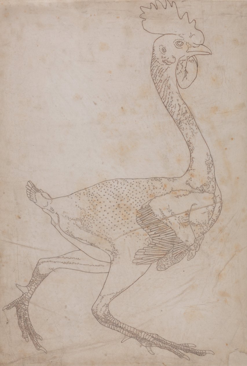 Exposición anatómica comparativa de la estructura del cuerpo humano con la de un tigre y un co... de George Stubbs