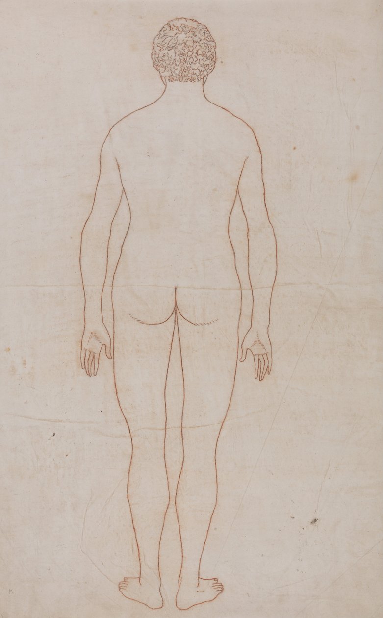 Exposición anatómica comparativa de la estructura del cuerpo humano con la de un tigre y un co... de George Stubbs