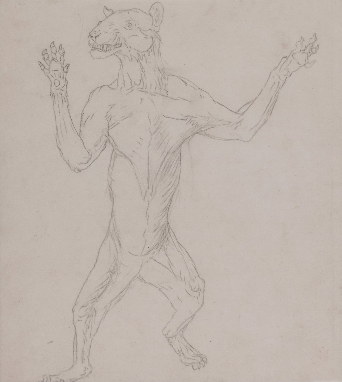Exposición anatómica comparativa de la estructura del cuerpo humano con la de un tigre y un co... de George Stubbs