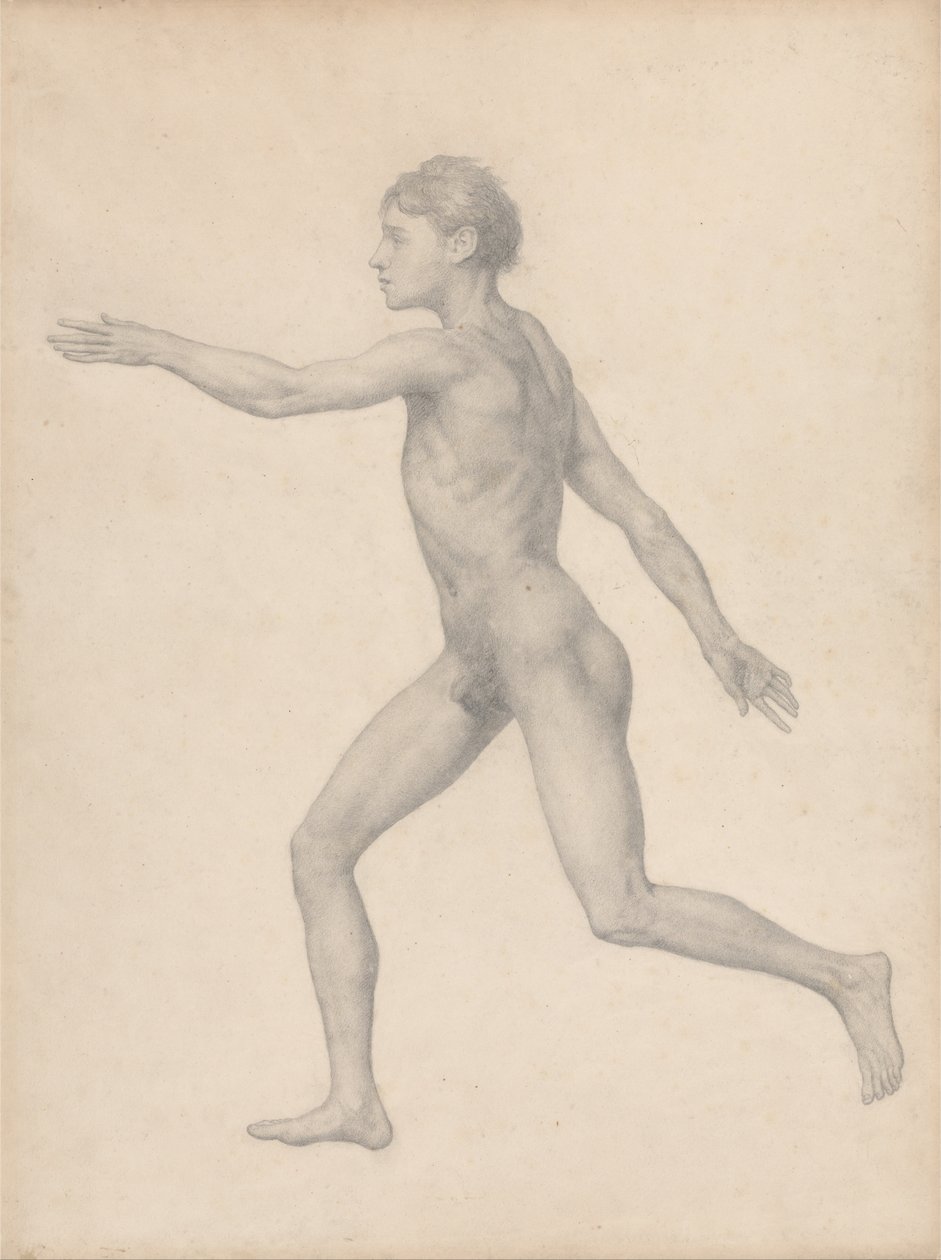 Exposición anatómica comparativa de la estructura del cuerpo humano con la de un tigre y un co... de George Stubbs
