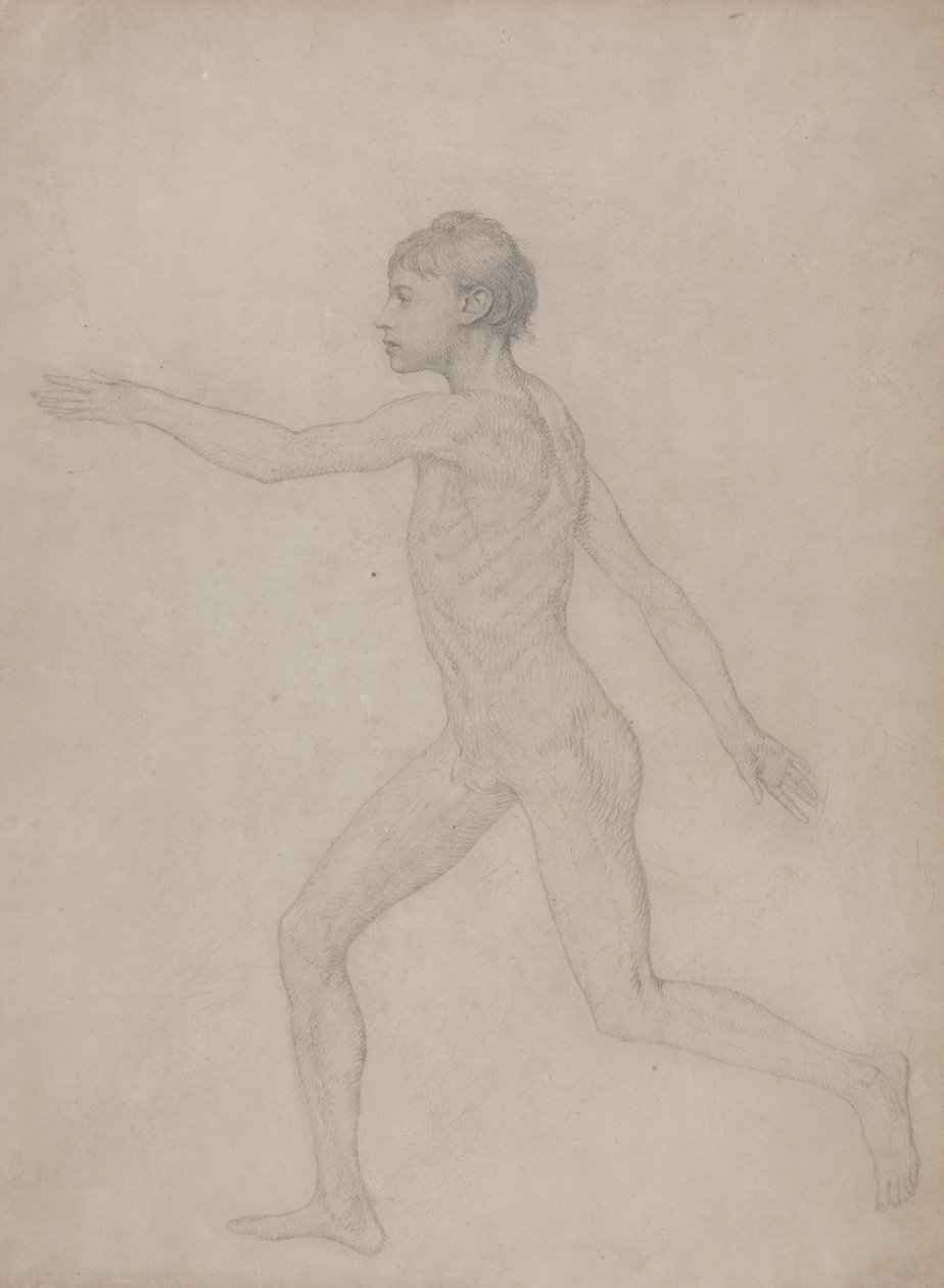 Exposición Anatómica Comparativa de la Estructura del Cuerpo Humano con la de un Tigre y un Co... de George Stubbs