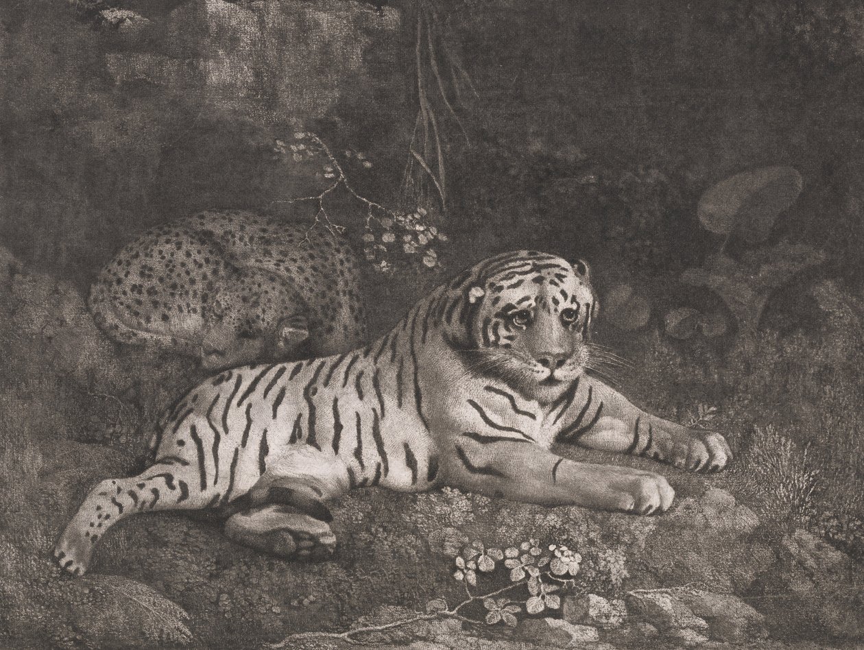 Un tigre y un leopardo durmiendo de George Stubbs