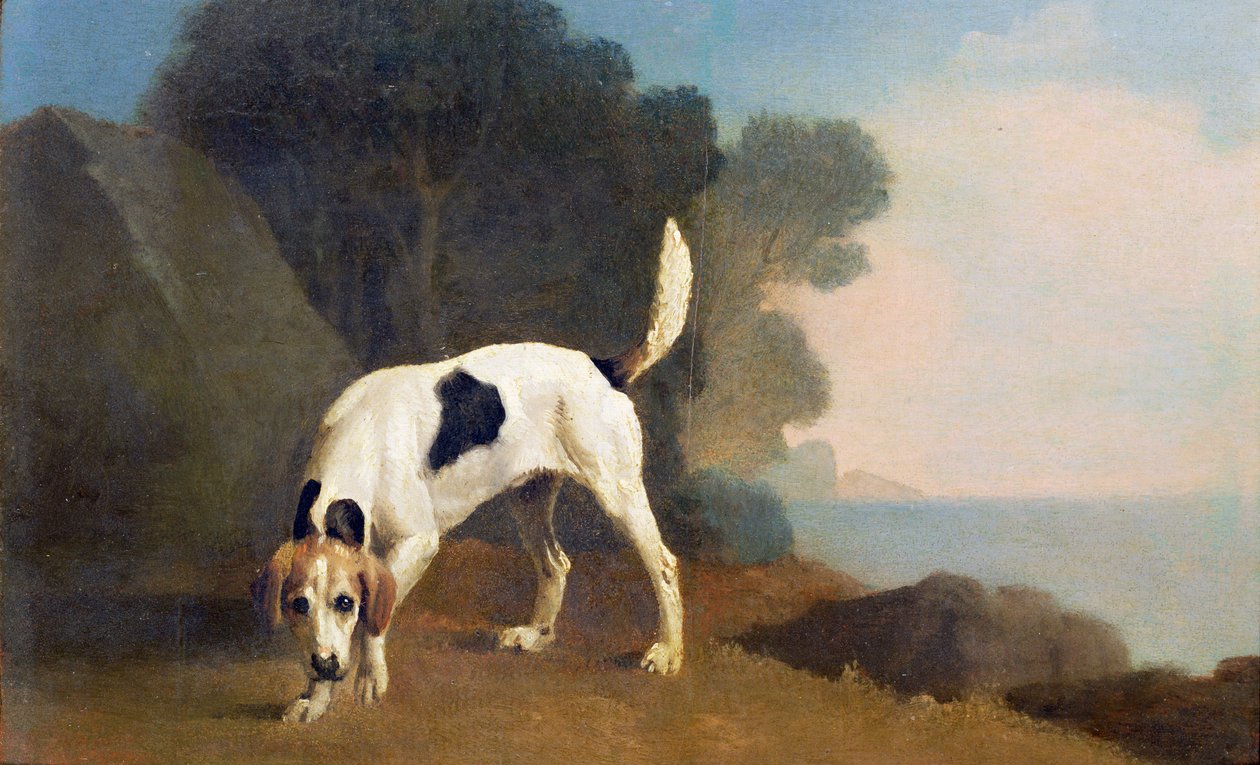 Sabueso en el rastro, c.1760 de George Stubbs