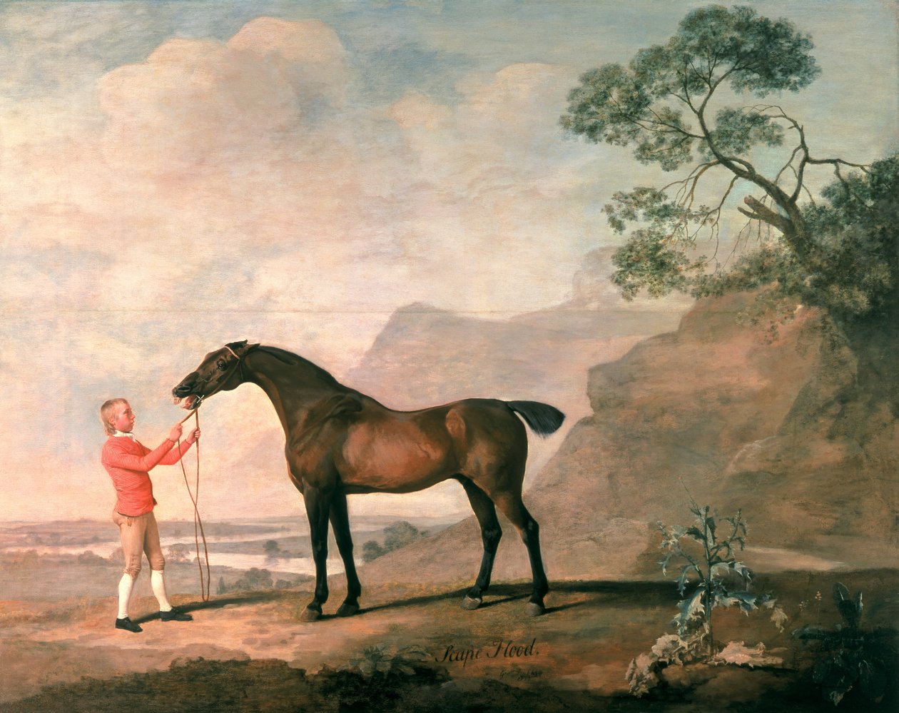 Inundación de George Stubbs