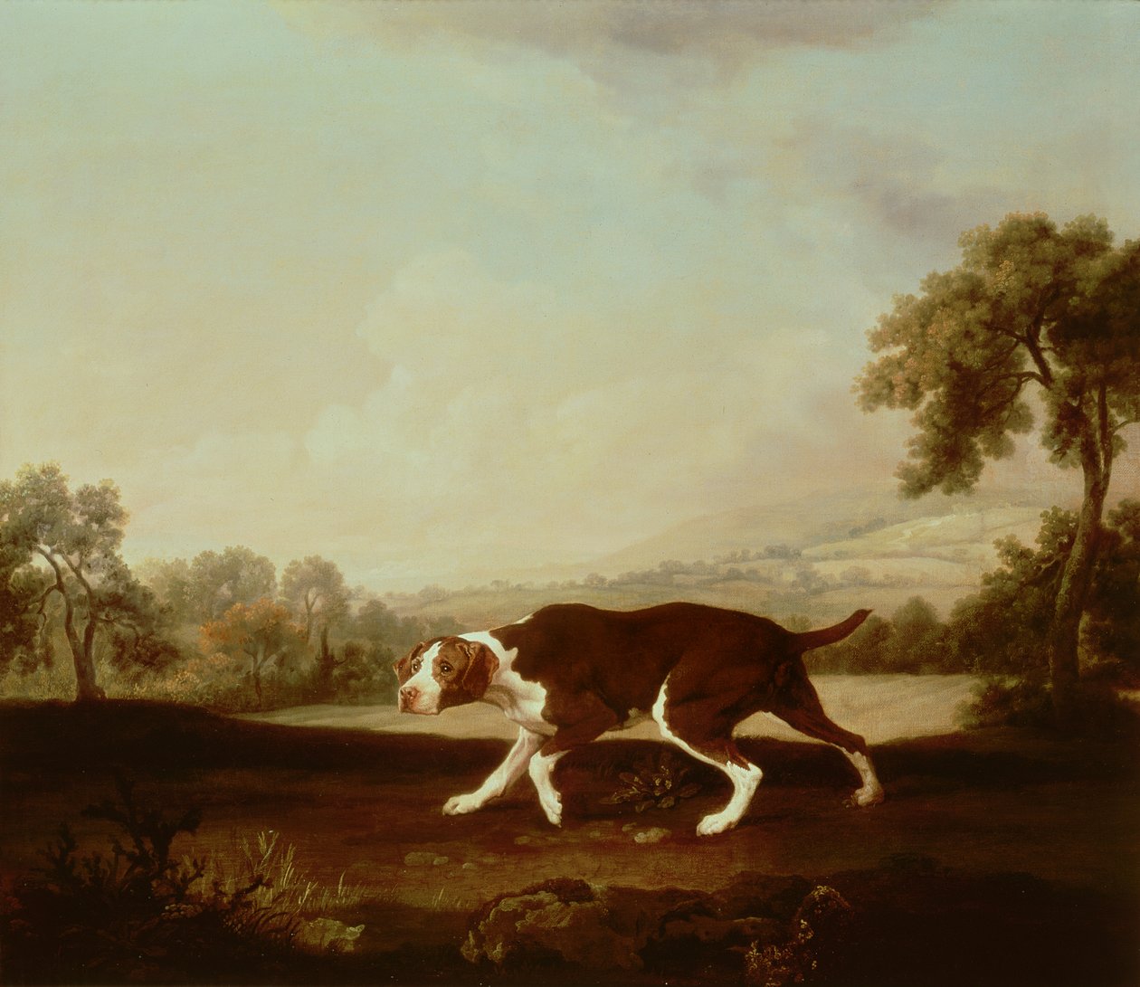 Perro de muestra español de George Stubbs