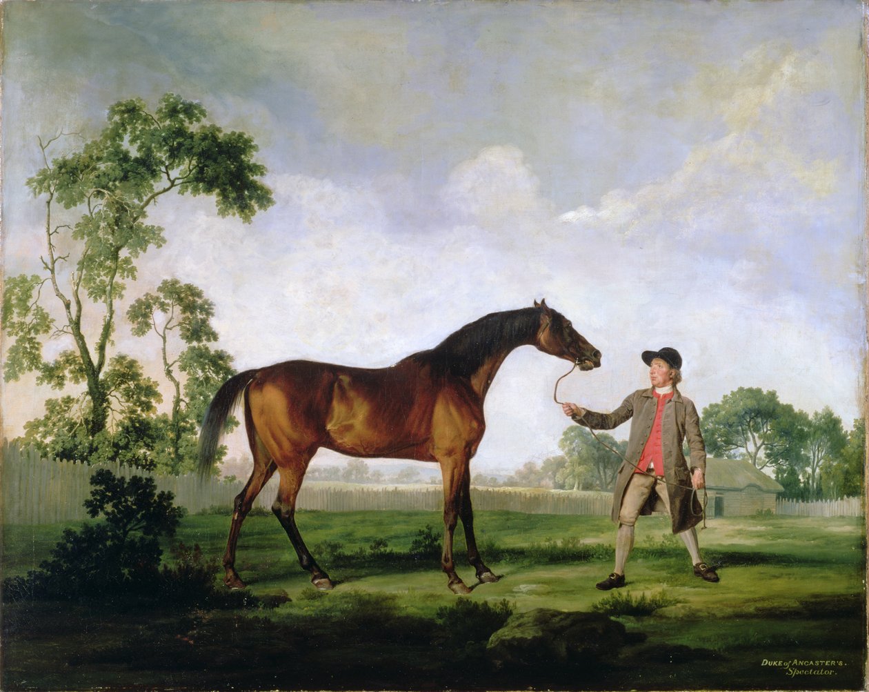 El semental Spectator del Duque de Ancaster, sostenido por un mozo de cuadra, c.1762-5 de George Stubbs