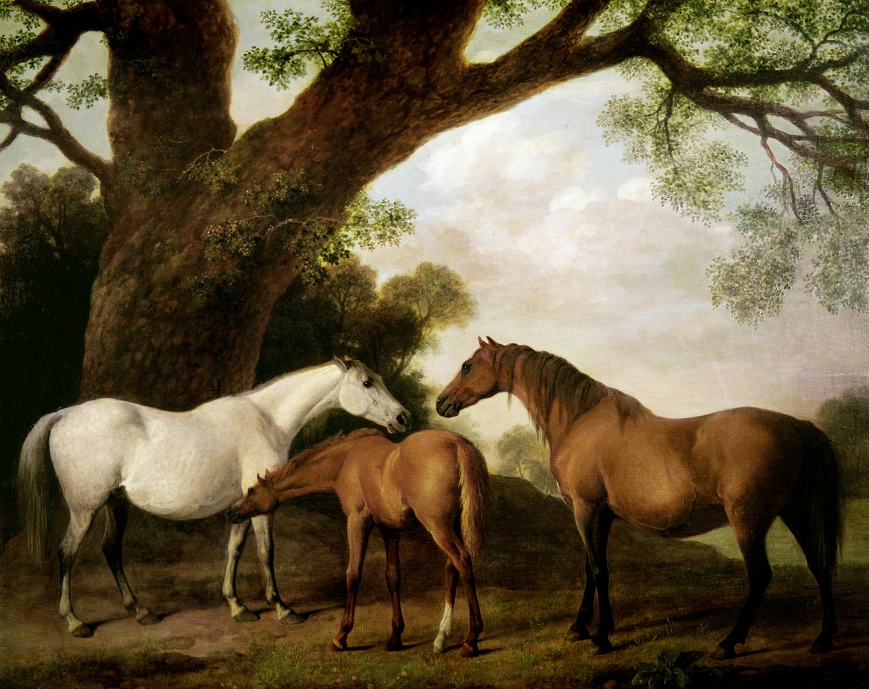 Dos yeguas Shafto y un potro, 1774 de George Stubbs