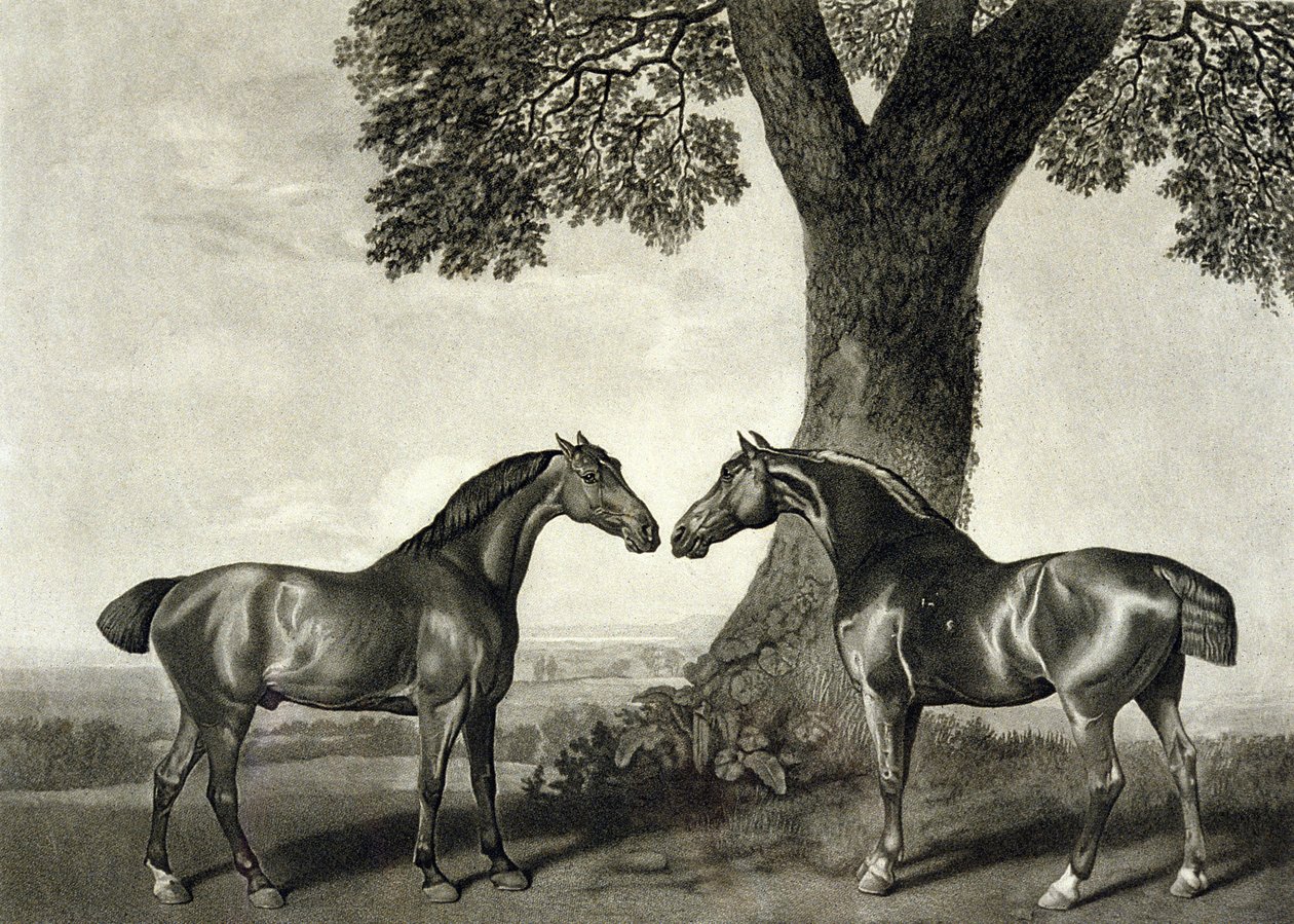 Dos Cazadores de George (after) Stubbs