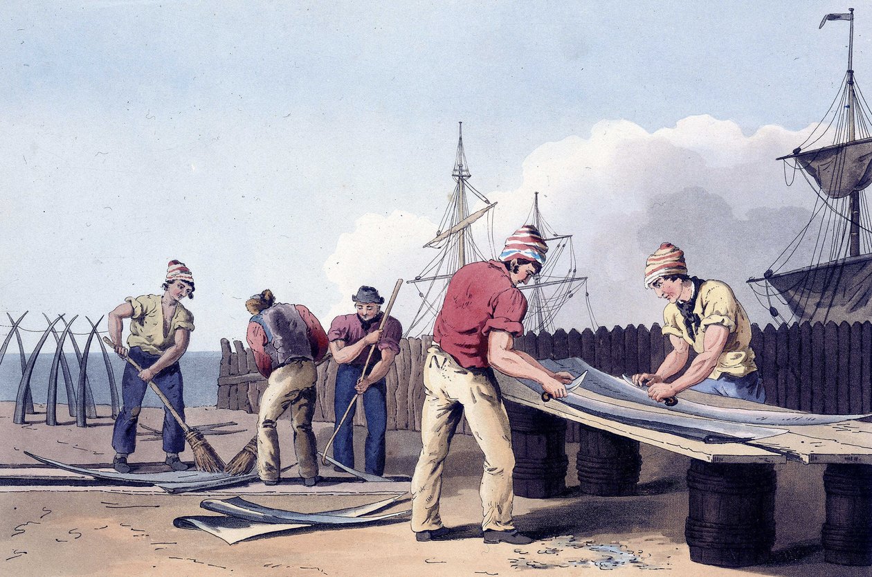 Pescadores raspando y limpiando los restos de ballenas de "El traje de Yorkshire", grabado por Robert Havell (1769-1832)1814 (litografía). de George (after) Walker