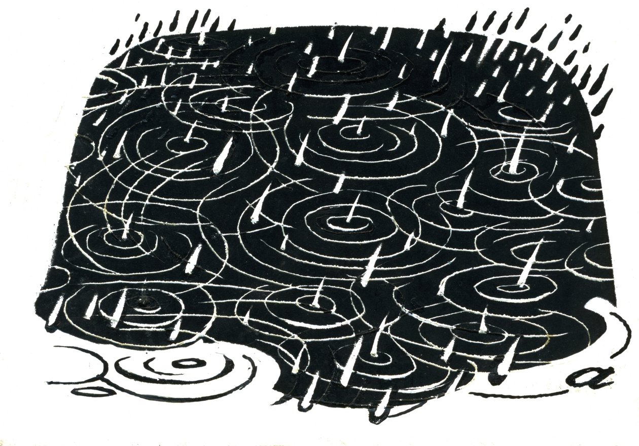 Diseño de charco de lluvia de George Adamson