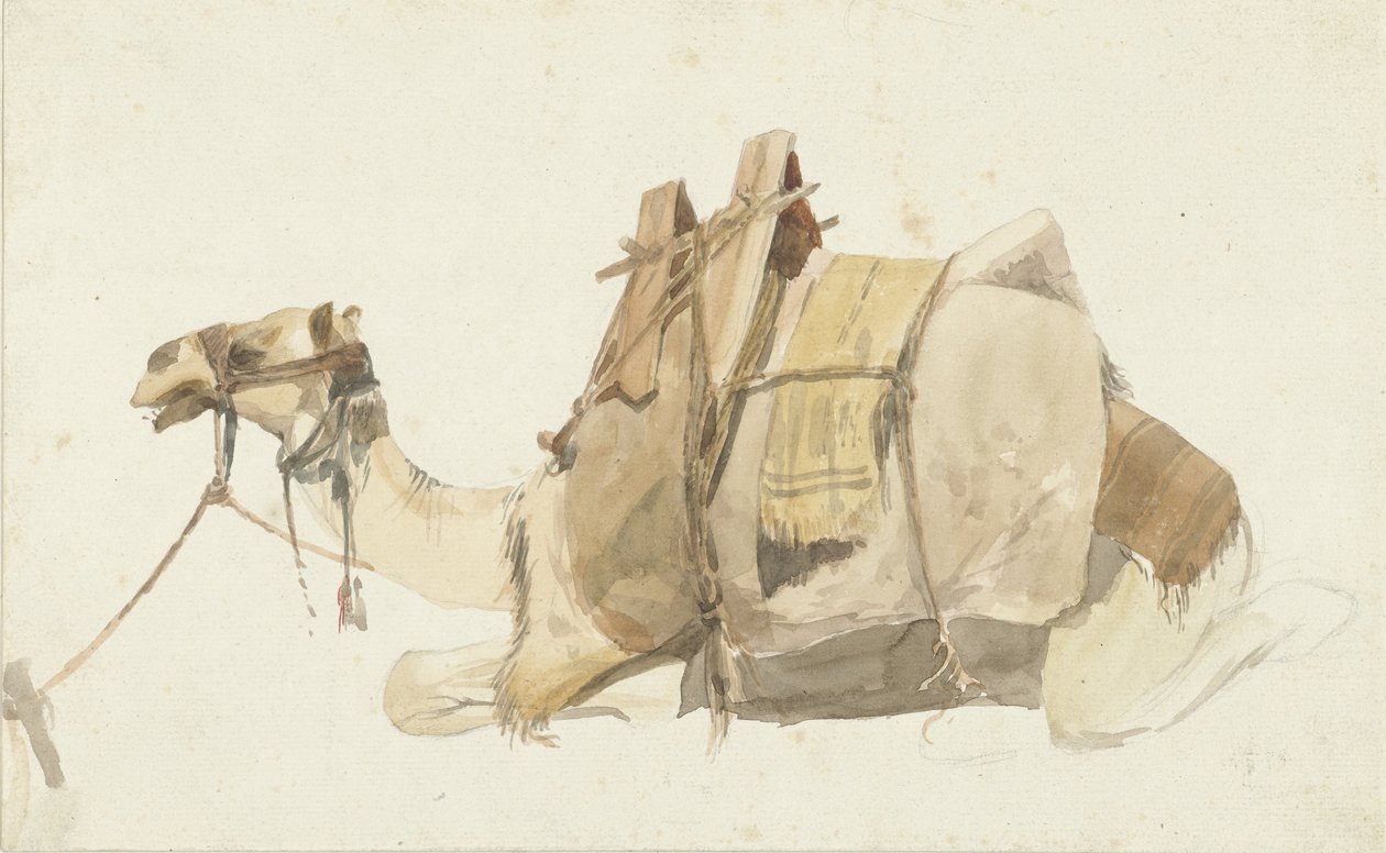 Camello cargado sentado de George Antoine Prosper Marilhat