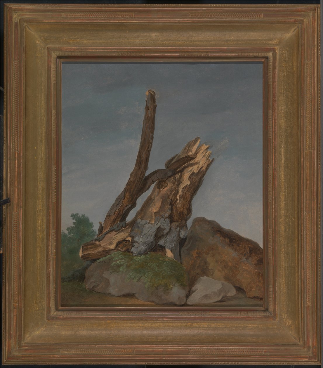Estudio de rocas y ramas de George Augustus Wallis