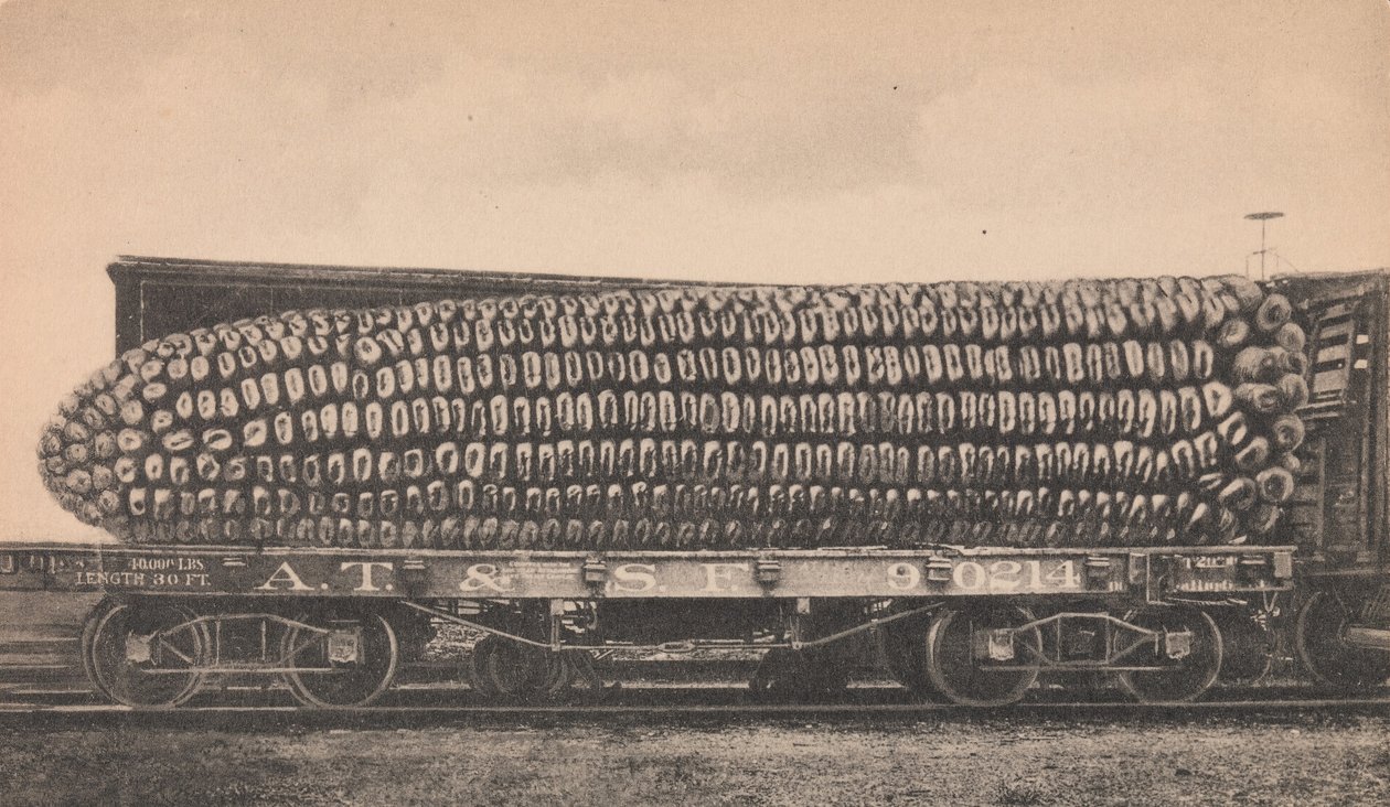 Un Cargamento de Maíz de Texas, ca. 1910 de George B. Cornish
