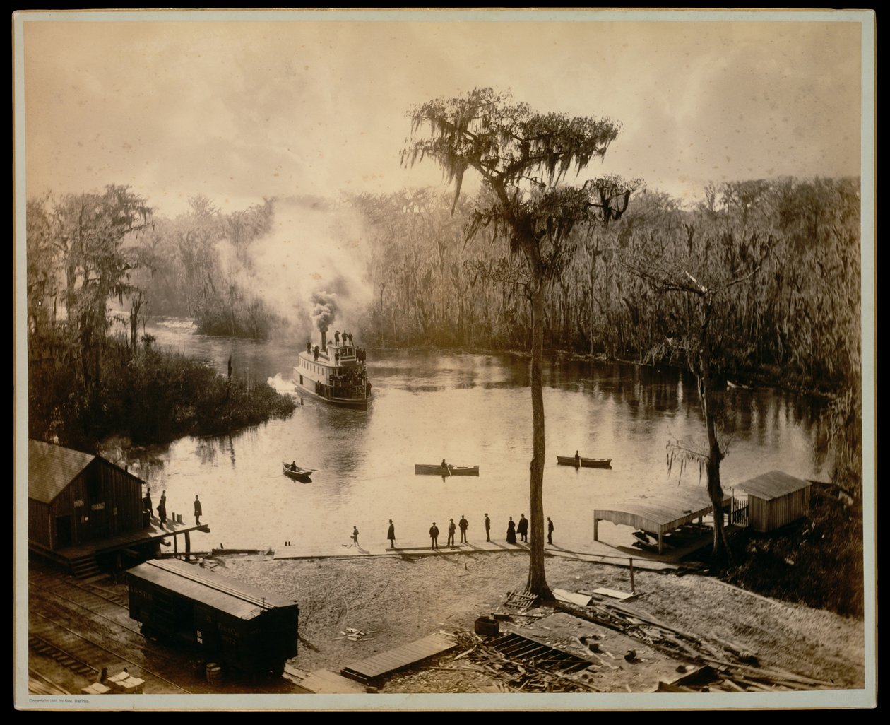 [Vapor de rueda de popa llegando a Silver Springs, Florida, tras una travesía nocturna remontando los ríos St. Johns, Oklawaha y Silver] de George Barker