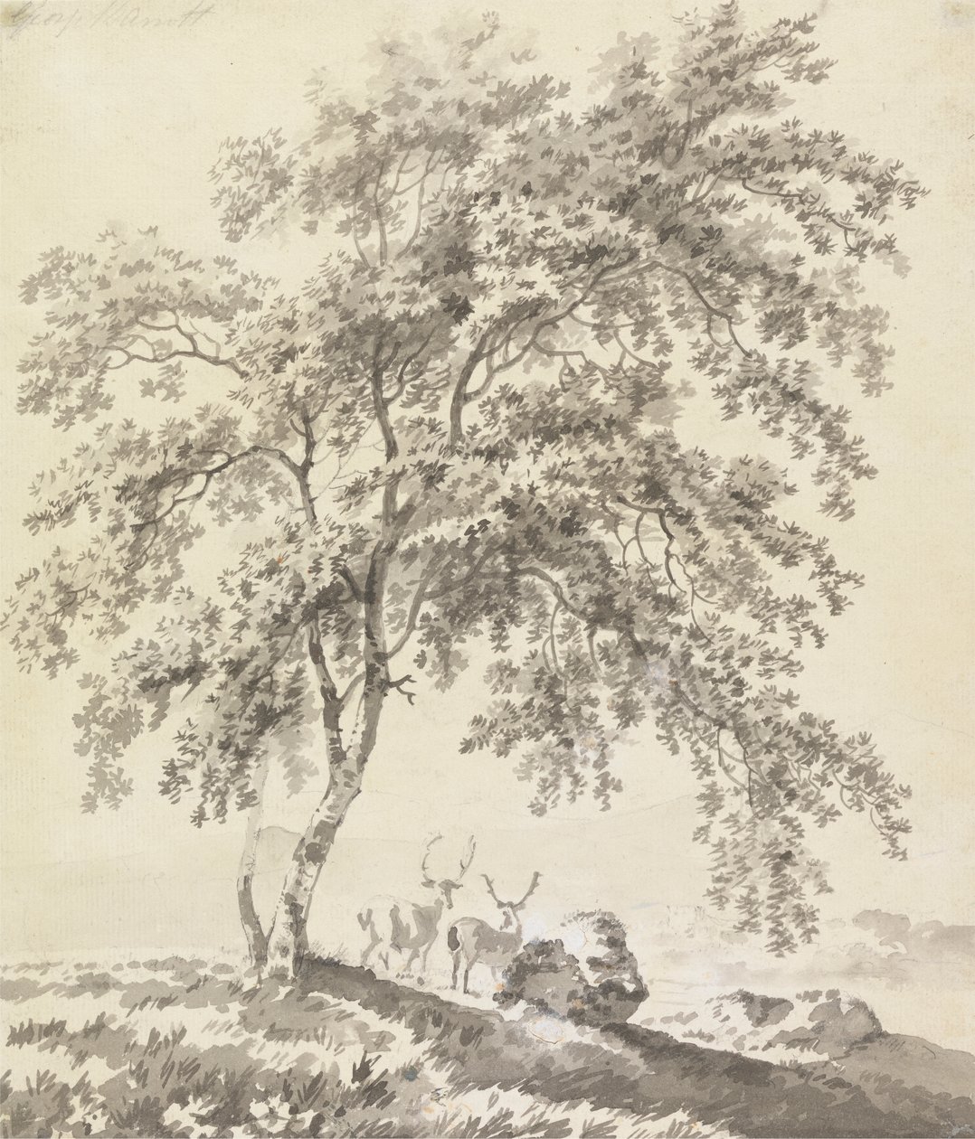 Estudio de árboles con ciervos (Paisaje) de George Barret