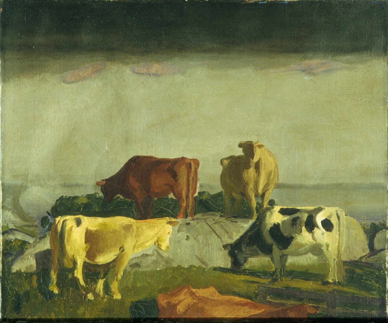 La Vid Roja, Isla Matinicus, Maine de George Bellows